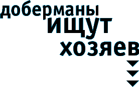 ��������� ���� ������